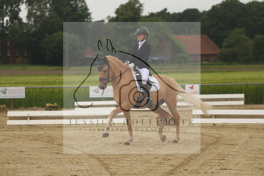 IMG_6599 | jessicahollubetz_pferdephotographie - Realisiert mit Pictrs.com