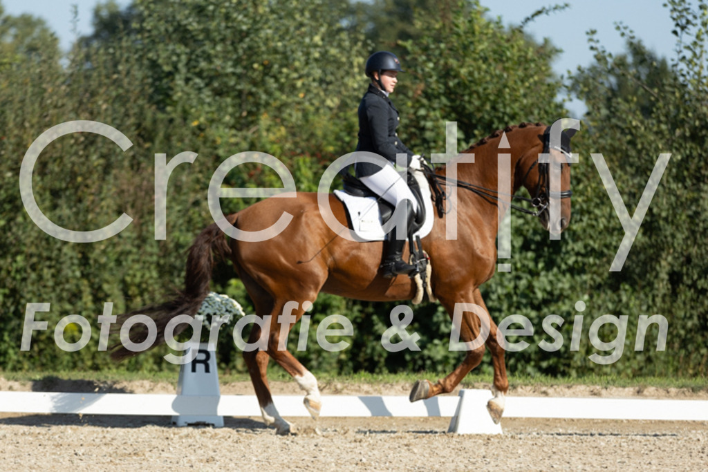 IMG_0620 | Creatify Fotografie