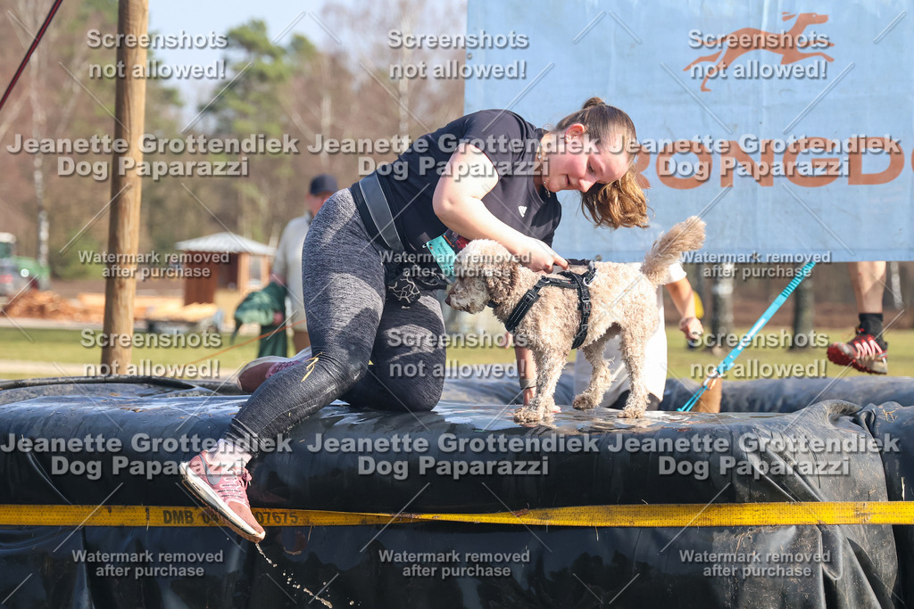 Dog Paparazzi - Strongdog North Mrz26-2065 | Dog Paparazzi Jeanette Grottendiek Fotografie & Videografie - Realisiert mit Pictrs.com