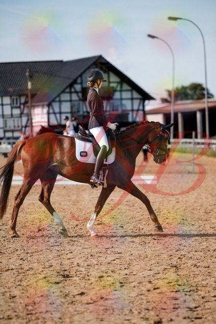 2026_10_03_Siefer-Hof_132842_Z63_89761264 | Professionelle Reitsport-, Turnier- und Eventfotografie von Robert Broda. Galerien mit ausgewählten und bearbeiteten Bildern direkt online ansehen und bestellen.