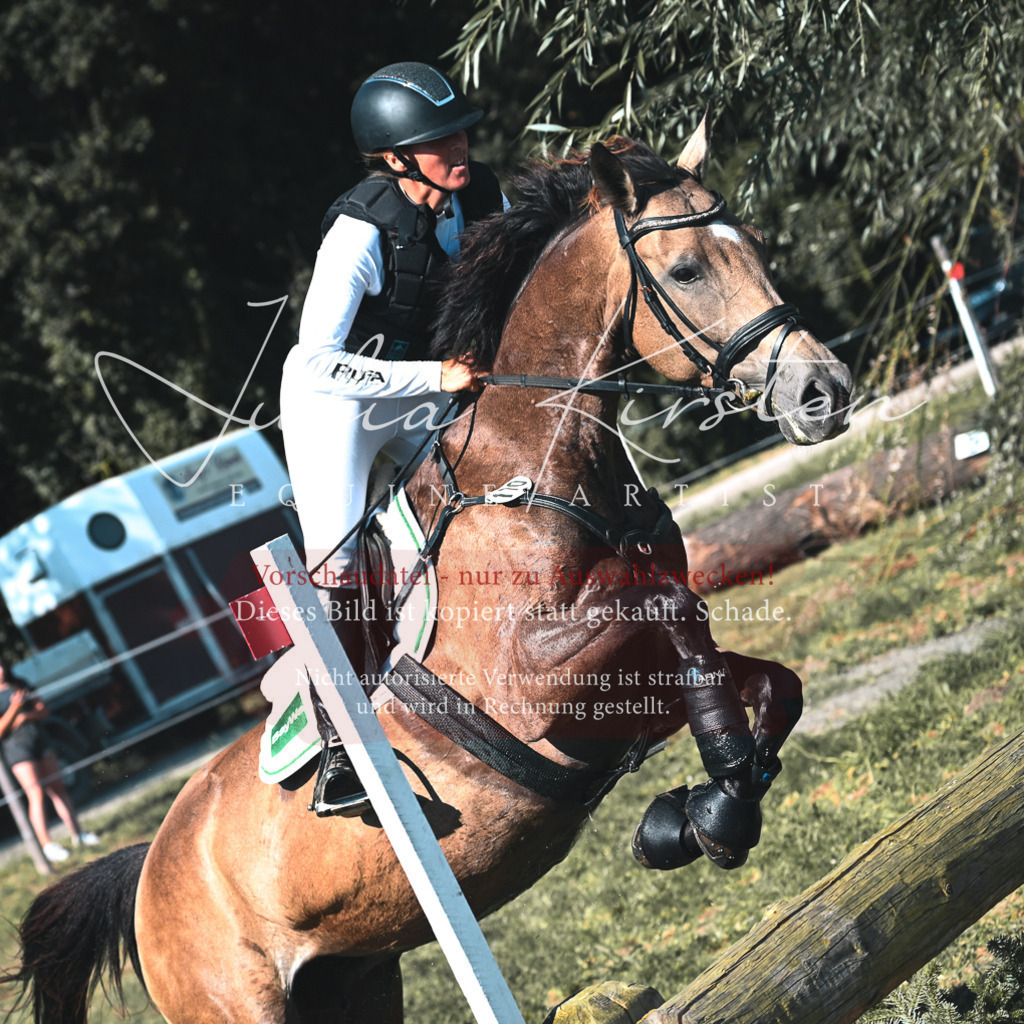 DSC_8699 | Pferde- und Turnierfotografie in Westsachsen. Pferdeportraits, Auftragszeichnungen und intuitive Kunst.