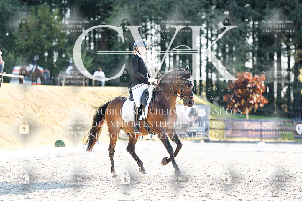 CK907090 | Turnierfotografie Pferdefotografie Trier Rheinland-Pfalz Pferdesport Reitsport Tierfotografie Sportfotografie Pferdevideo Pferdevideografie Equestrianvideography equestrianphotography  - Realisiert mit Pictrs.com