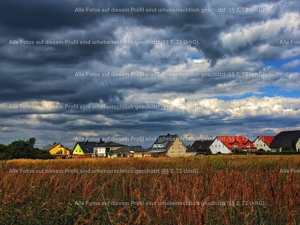 PXL_20210816_120347401-01-01 | krollfotografie - Realisiert mit Pictrs.com