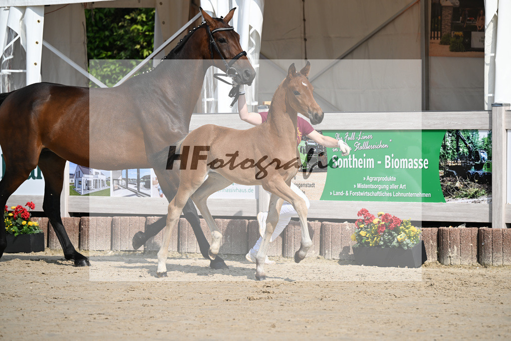 Feliciano x Danone I_SF_Huber_12250105 | hf-fotografie - Realisiert mit Pictrs.com