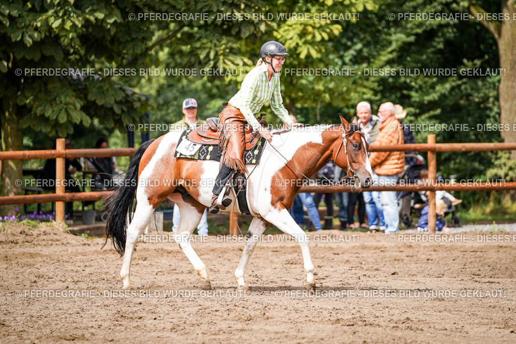 DSC07152 | Pferdegrafie