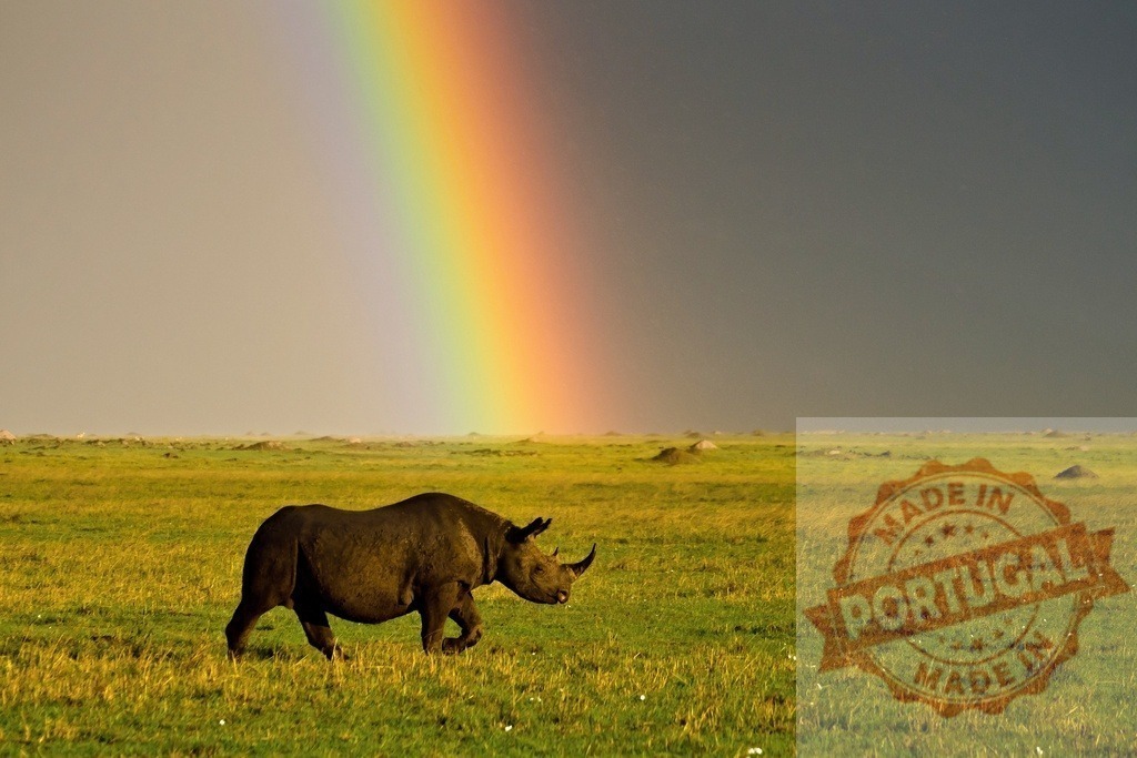 Black rhinoceros walking on savanna under colorful rainbow | Black rhinoceros walking on green grass under a vibrant rainbow in the African savanna - Realisiert mit Pictrs.com