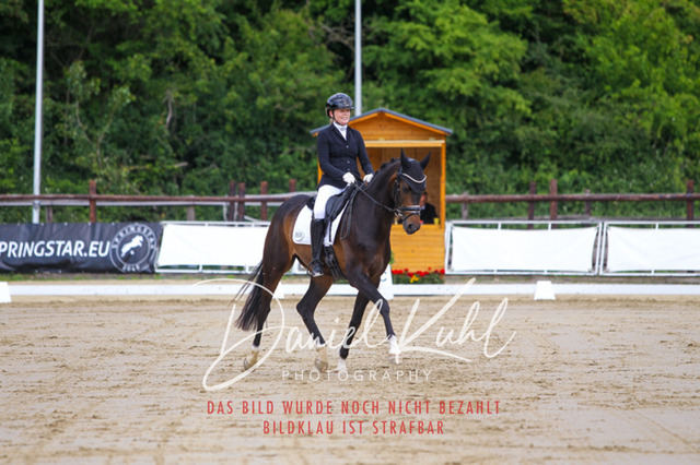 DKP45936 | Turniersportfotografie; Pferdefotografie; Dressurfotografie