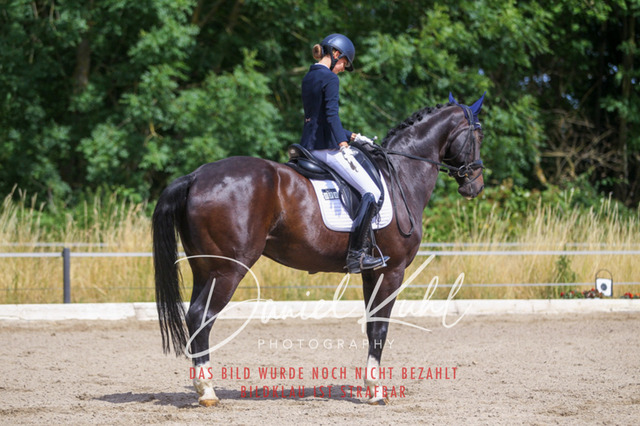 DKP46658 | Turniersportfotografie; Pferdefotografie; Dressurfotografie