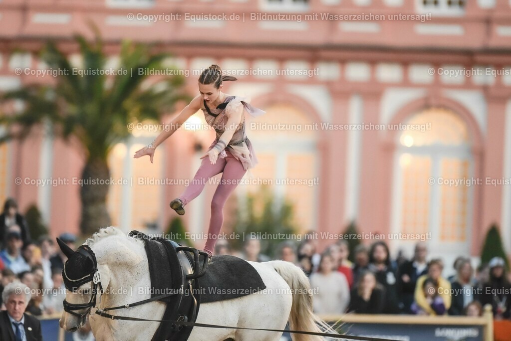 20230527_Voltigieren_NASPA_Flutlicht_0328 | equistock