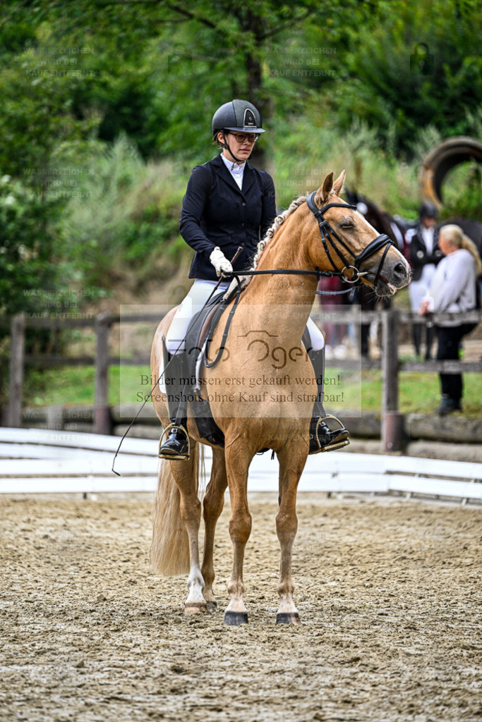 Bissendorfer Reitertage | Entdecke hochwertige Reitturnierfotos von Foto Oger. Professionell, emotional und authentisch – jetzt Lieblingsmomente im Shop bestellen. - Realisiert mit Pictrs.com