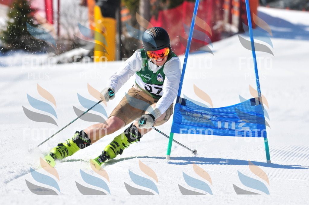 C3564 | holidayphoto