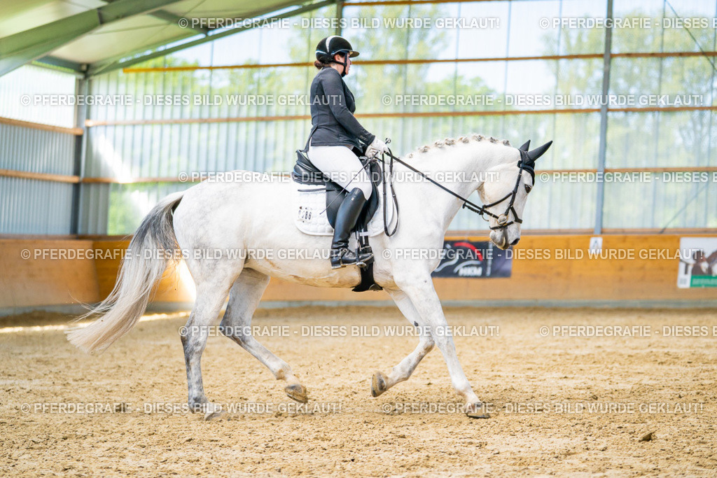 DSC07852 | Pferdegrafie