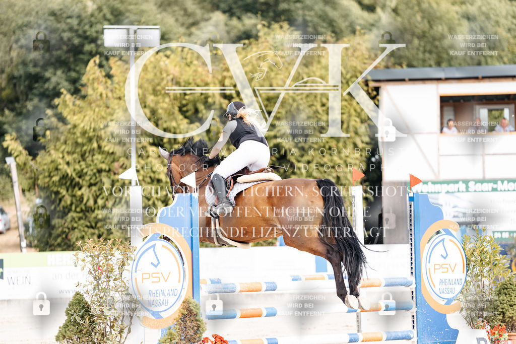 CK908967 | Turnierfotografie Pferdefotografie Trier Rheinland-Pfalz Pferdesport Reitsport Tierfotografie Sportfotografie Pferdevideo Pferdevideografie Equestrianvideography equestrianphotography  - Realisiert mit Pictrs.com