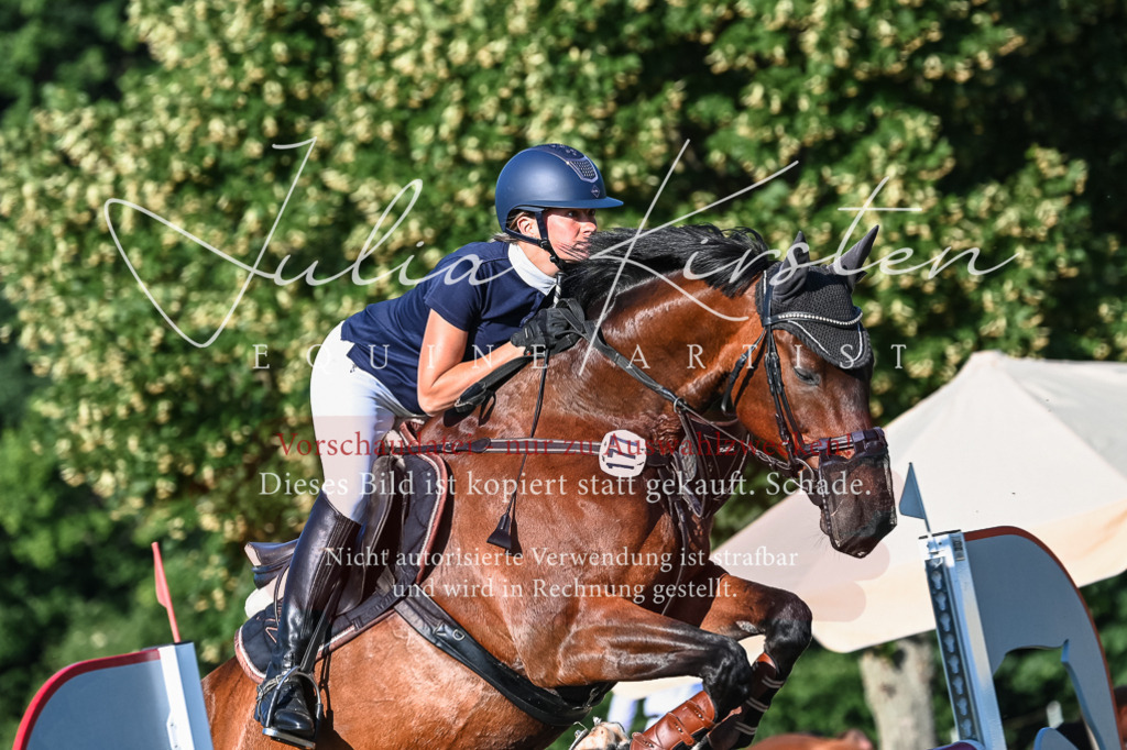 DSC_2973 | Pferde- und Turnierfotografie in Westsachsen. Pferdeportraits, Auftragszeichnungen und intuitive Kunst.