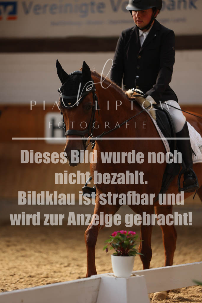 IMGS1066 | pl-fotografie