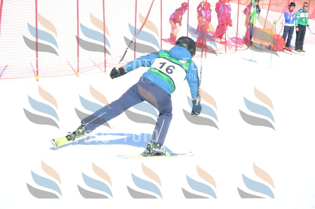 C6808 | holidayphoto