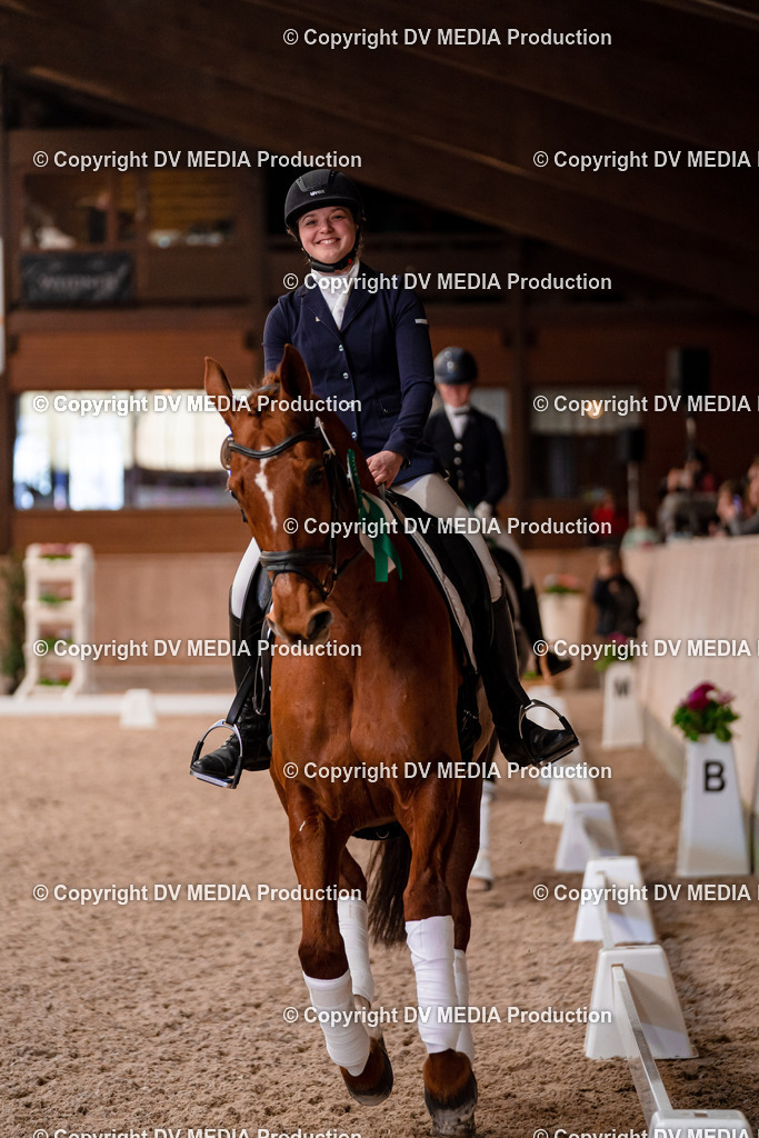 Dressur Tag 2-360 | dv-media-shop - Realisiert mit Pictrs.com