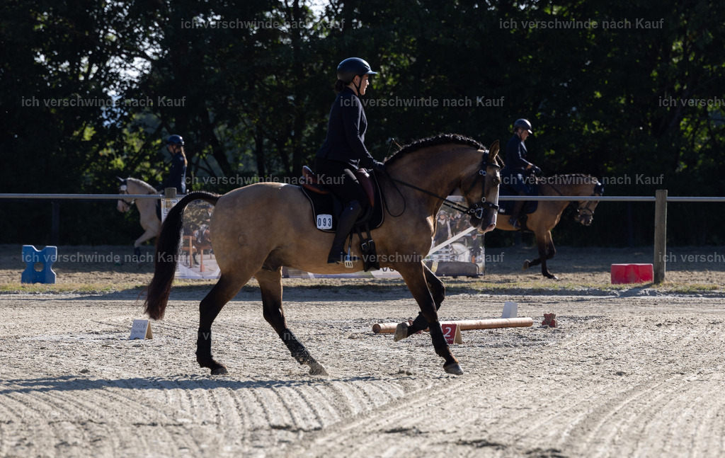 WA_Trail_96_KerstinBernhardt | working equitationturnier fotograf videograf stoibphotography marixx film working equitation deutschland reitsport turnierfotografie eventfotografie equestrian events