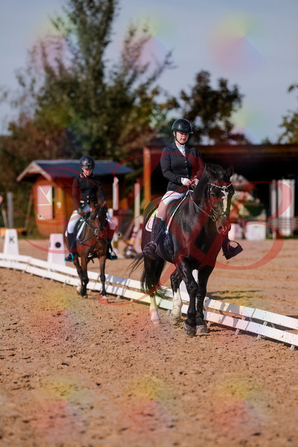 2026_10_03_Siefer-Hof_120730_Z81_09423083 | Professionelle Reitsport-, Turnier- und Eventfotografie von Robert Broda. Galerien mit ausgewählten und bearbeiteten Bildern direkt online ansehen und bestellen.