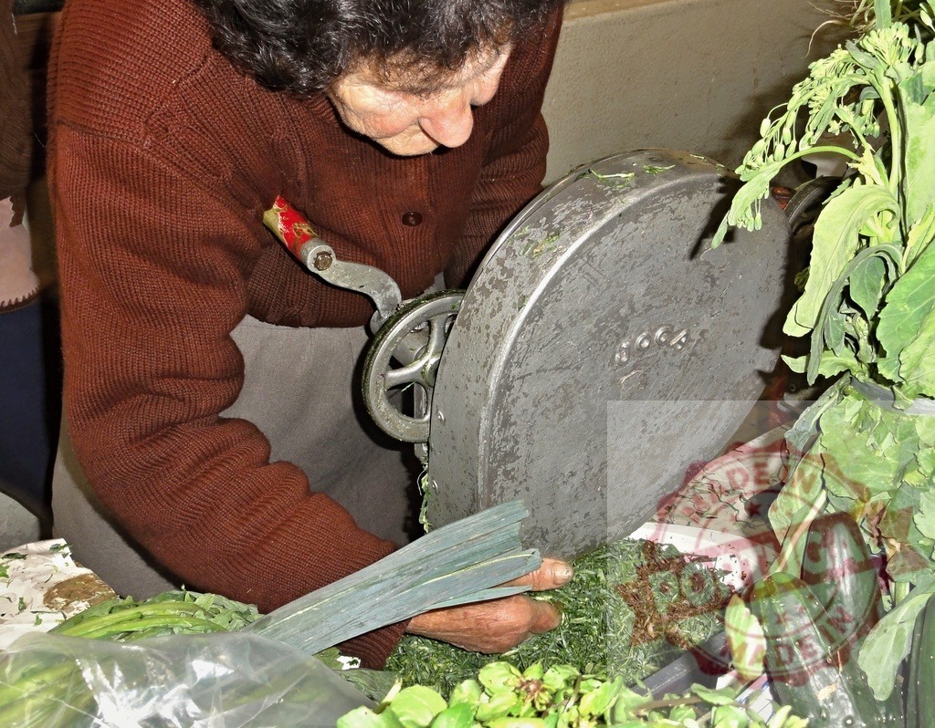 Elderly woman chopping greens with manual grinder | Elderly woman preparing fresh vegetables using an old hand-cranked grinder - Realized with Pictrs.com