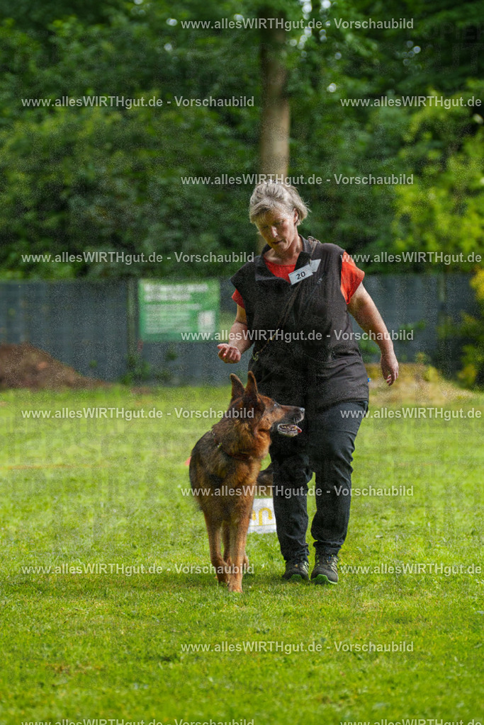 @allesWIRTHgut_Tierfotografie - www.allesWIRTHgut.de - 7R502506 | Professionelle Tierfotografie in Mönchengladbach von Daniel Wirth (allesWIRTHgut). Liebevolle & natürliche Bilder von Hunden & Katzen für unvergessliche Erinnerungen.