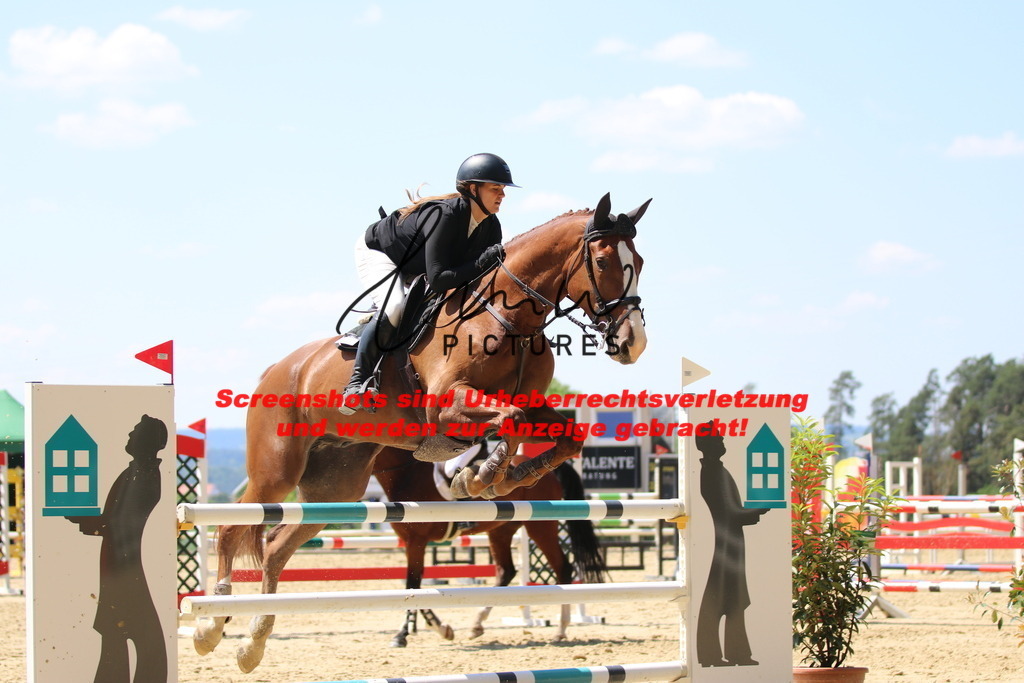 IMG_2651 | lmwpictures - Realisiert mit Pictrs.com