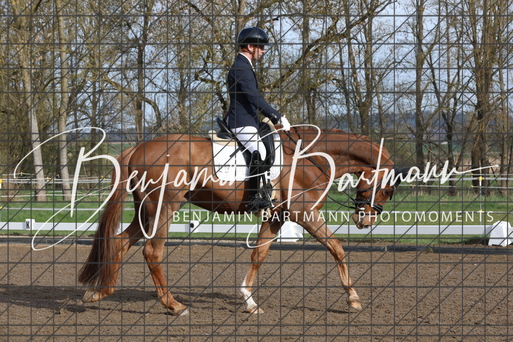 AZ2A6390 | Benjamin Bartmann Photomoments