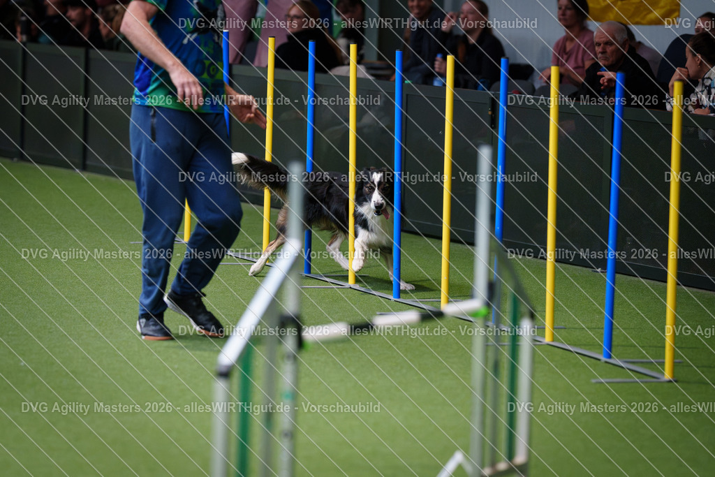 allesWIRTHgut_Tierfotografie-DVG_Agility_Masters_2026-09_53-7R502964 | Professionelle Tierfotografie in Mönchengladbach von Daniel Wirth (allesWIRTHgut). Liebevolle & natürliche Bilder von Hunden & Katzen für unvergessliche Erinnerungen.