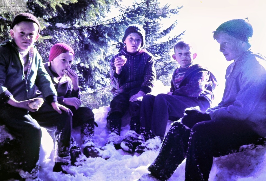 Winterschule 10 | Fotoblog Schwarzwald, Foto Blog Wiesental, Pfaffenberg, Winterzauber, Zeller Bergland, Zell im Wiesental, Fotoblog Wiesental, Landschaftsfotos, Bilder Wiesental, Natur, Naturbilder, Fastnacht, Zeller Fastnacht, Zeller Fasnacht, Zeller Bergland, Belchen, - Realisiert mit Pictrs.com