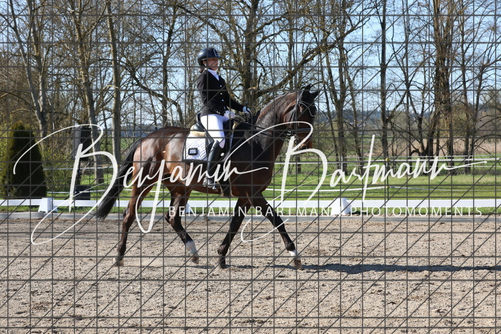 AZ2A6328 | Benjamin Bartmann Photomoments