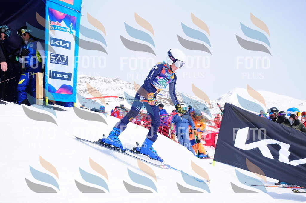 DSC_1833 | holidayphoto