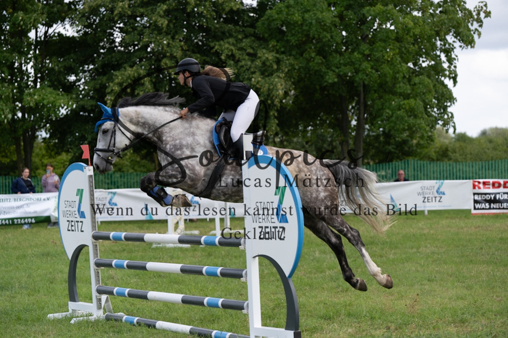 A7V04853 | Pferdefotograf