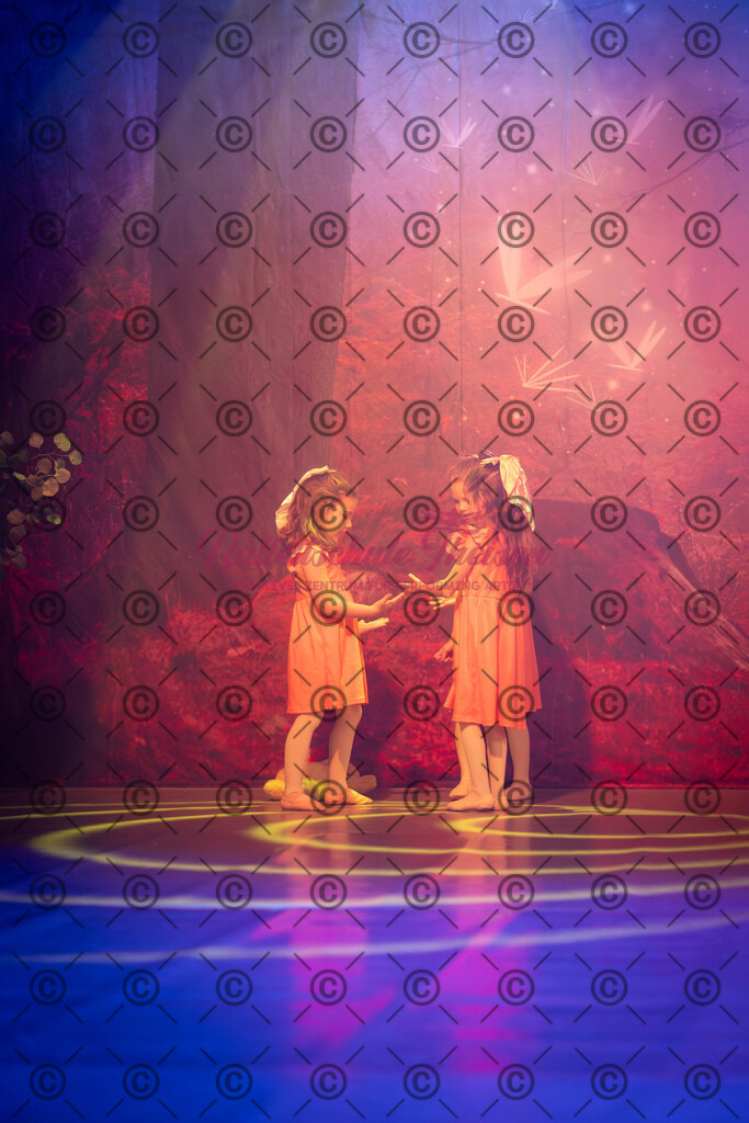 Ballettaufführung-1860 | Bildershop Lem'n Entertainment - Realisiert mit Pictrs.com