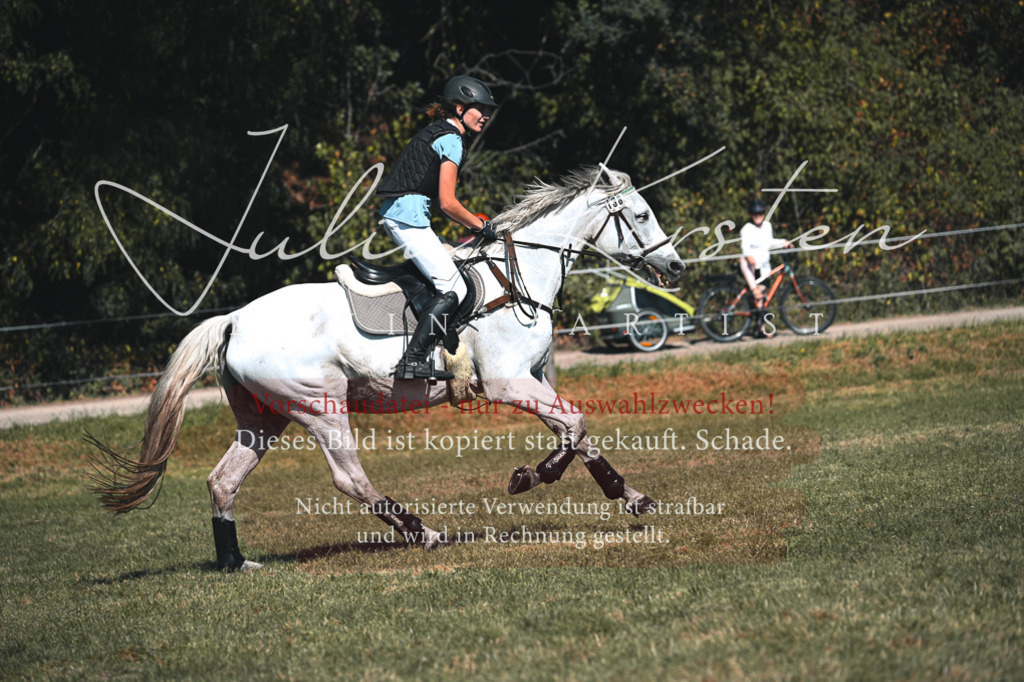 DSC_7964 | Pferde- und Turnierfotografie in Westsachsen. Pferdeportraits, Auftragszeichnungen und intuitive Kunst.
