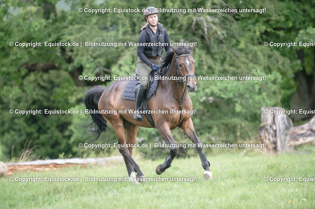 20250726_Vielseitigkeitslehrgang-Marbach_0698 | Foto: Thomas Hartig