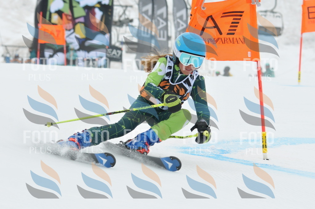 DSC_8775 | holidayphoto