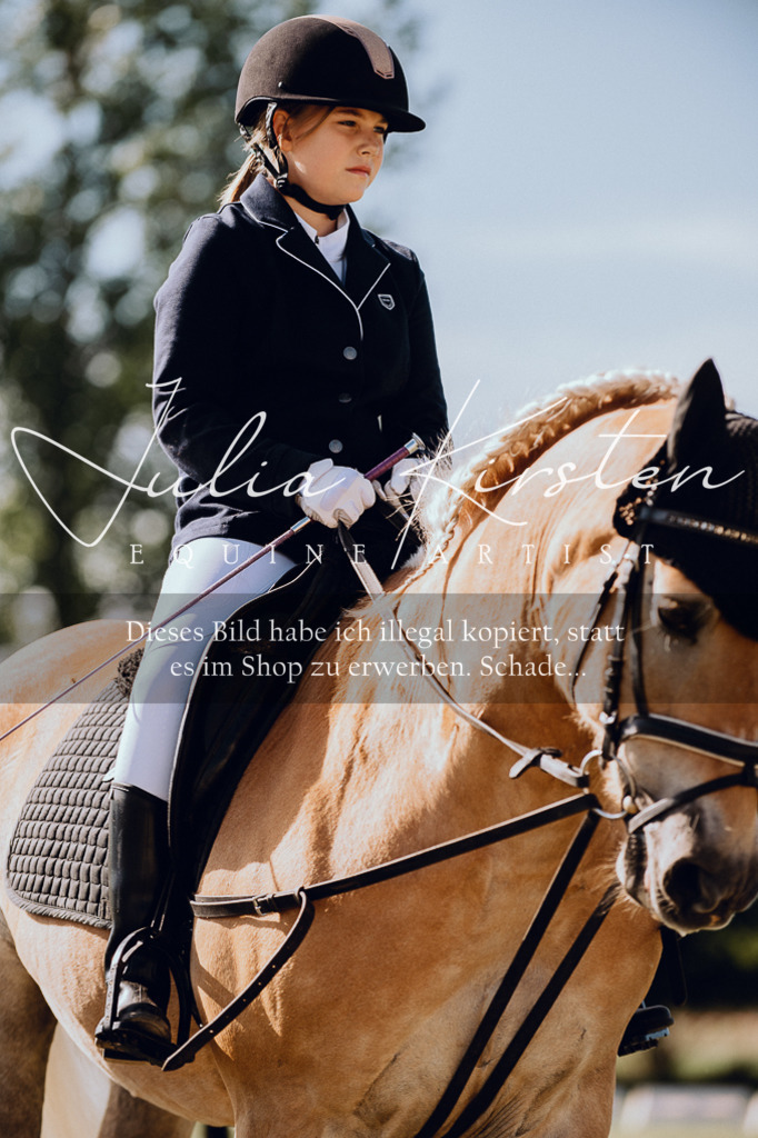 DSC_6880 | Pferde- und Turnierfotografie in Westsachsen. Pferdeportraits, Auftragszeichnungen und intuitive Kunst.