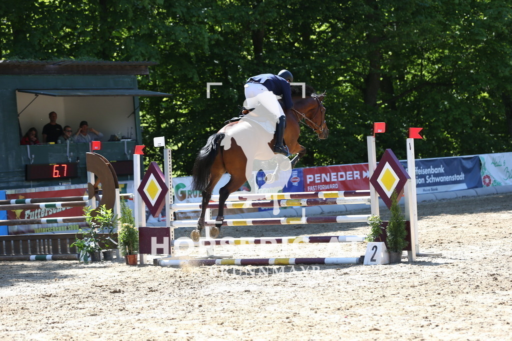 DL2Q2155 | Willkommen bei Brunnmayr - Design & Fotografie – Ihrem Spezialisten für Reitturniere und Pferdeveranstaltungen in Oberösterreich, Salzburg und Bayern! Seit über 17 Jahren sind wir leidenschaftlich dabei.