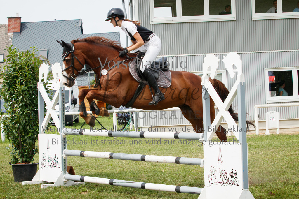 IMG_3174 | P. Berger Fotografie - Realisiert mit Pictrs.com