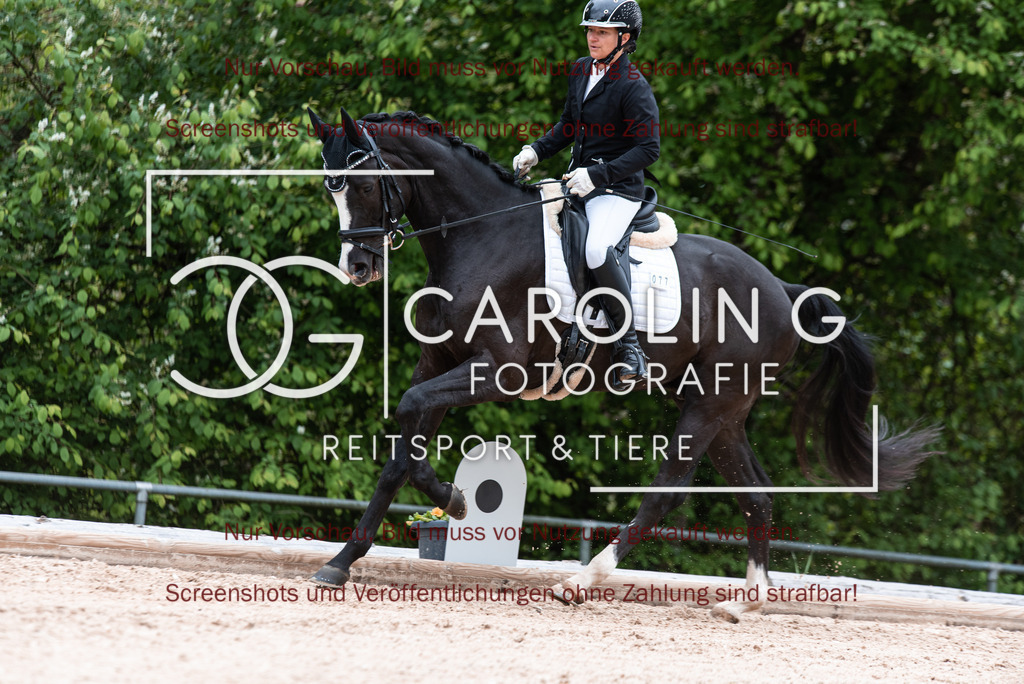 DSC_6757 | Turnierfotografin Carolin Gieschke,Reitsport Turnierfotografie Carolin G Fotografie | Turnierfotos aus Kirchheim/Teck, Esslingen, Stuttgart und dem Bodenseekreis