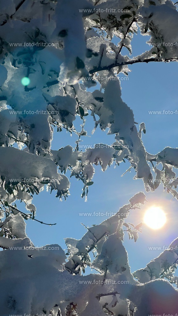 IMG_E6765 | www.foto-fritz.com - Realisiert mit Pictrs.com