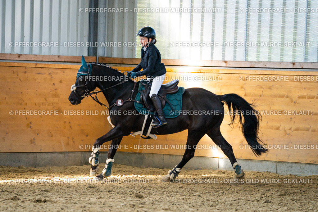 DSC01615 | Pferdegrafie