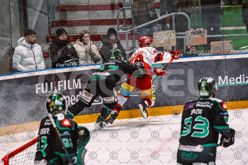Alligators_vs_Deggendorf_23_01_2026-67 | Höchstadt Alligators Fotogalerie: Eishockey-Action aus Franken. Professionelle Spielfotos, Portraits & Stadionbilder zum Download. Jetzt entdecken! - Realisiert mit Pictrs.com