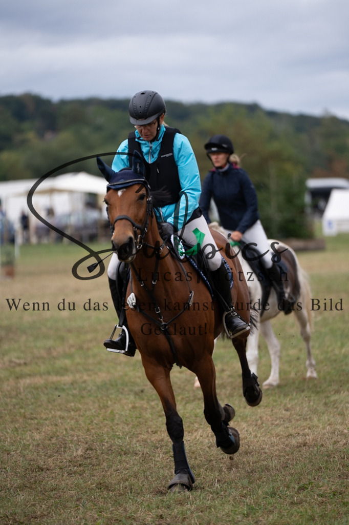 A7V00409 | Pferdefotograf