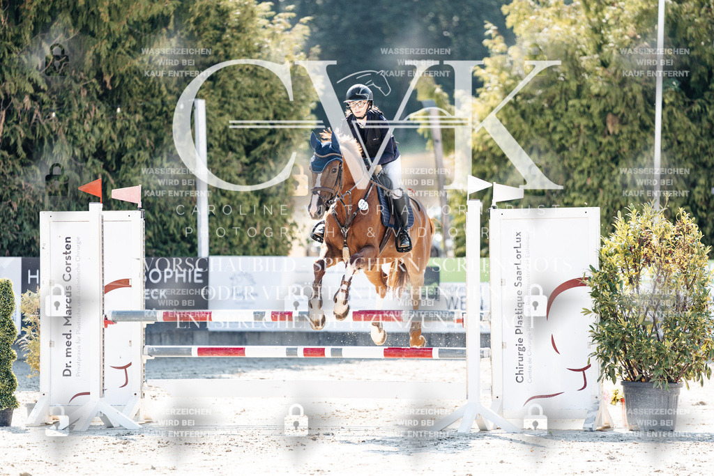 CK908045 | Turnierfotografie Pferdefotografie Trier Rheinland-Pfalz Pferdesport Reitsport Tierfotografie Sportfotografie Pferdevideo Pferdevideografie Equestrianvideography equestrianphotography  - Realisiert mit Pictrs.com