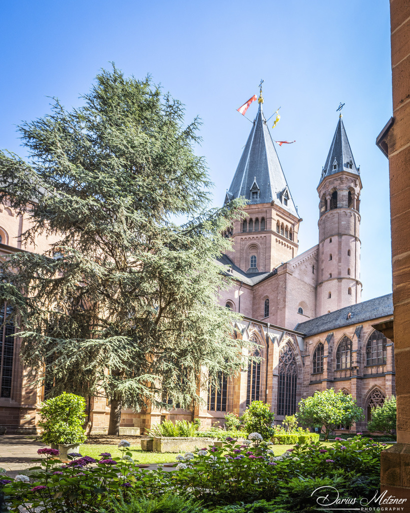 _DSC1534 | Fotografien, Fotos und Bilder aus Mainz, Frankfurt, Wiesbaden und anderen Orten auf der Welt - Fotografiert von Darius Metzner