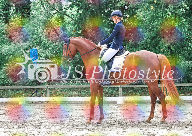 20250727_Dressurpferdeprfg_Kl.L-90 | JS-Photostyle - Sport-/Portrait- & Eventfotografie