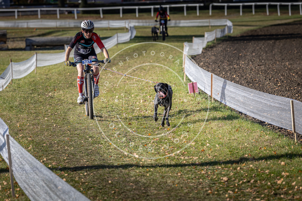 CaniXpix_DV3A6649 | Hundefotografie, Tierfotograf, Pfotenfotografie, Fotoshooting Hund, Hunde Portrait, Hundesport, Hundeportraits, Heideshooting, Hunde, Sportfotograf, Hundefotograf, Turnierhundsport, THS,  - Realisiert mit Pictrs.com