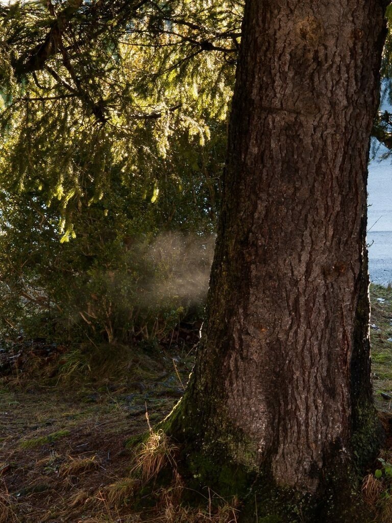 PSX_20221226_234704 | mtkfoto_ - Realisiert mit Pictrs.com