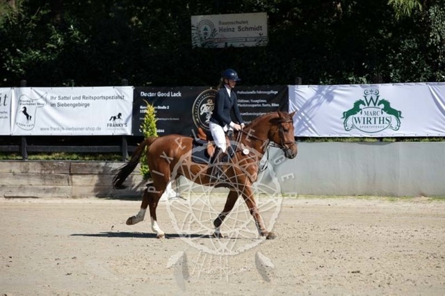 2B4A0389 | pixelfaenger - Realisiert mit Pictrs.com